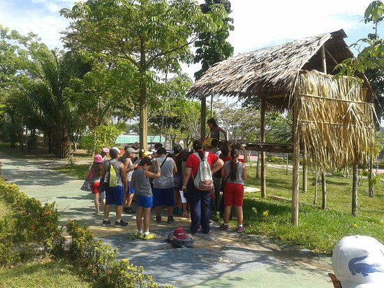 Cultural Center of the Povos da Amazonia